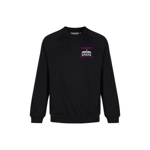 Cleland Primary Crewneck Sweatshirt Thumbnail