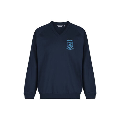 Berryhill Primary V-Neck Sweatshirt Thumbnail