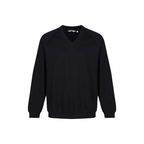 Blank V-Neck Sweatshirt Thumbnail