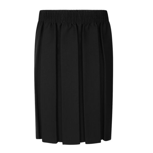 Box Pleat Skirt Thumbnail