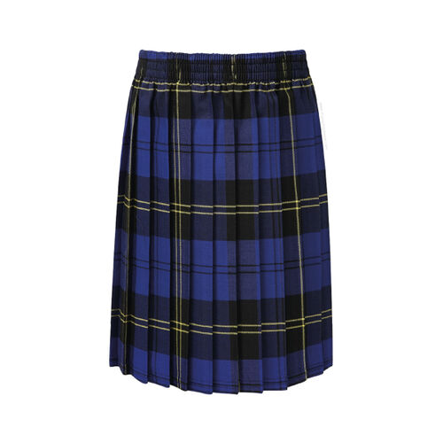 Tartan Junior Skirt Thumbnail