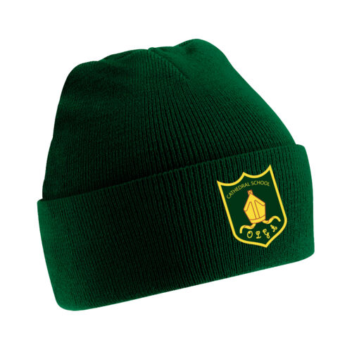 Cathedral Primary Beanie Thumbnail