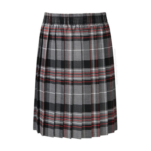 Stane Primary Tartan Junior Skirt Thumbnail