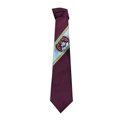 Taylor High Senior Tie Thumbnail