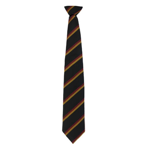Braidhurst High Junior Tie Thumbnail