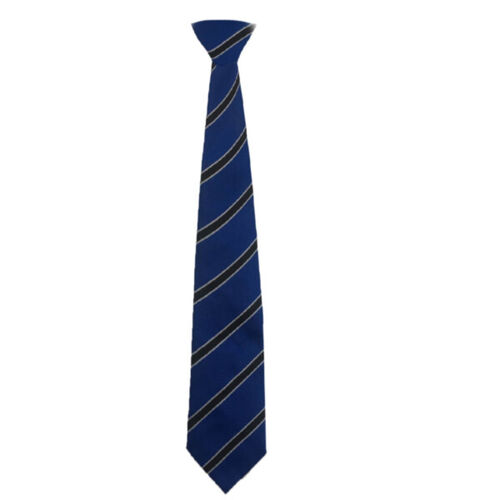 Dalziel High Junior Tie Thumbnail