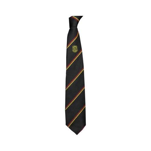 Kilsyth Academy Senior Tie Thumbnail
