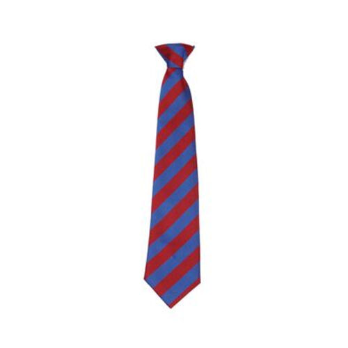 Allanton Primary Clip-On Tie Thumbnail