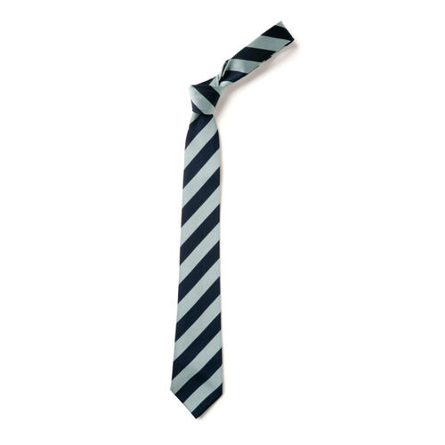 Chatelherault Primary Tie Thumbnail
