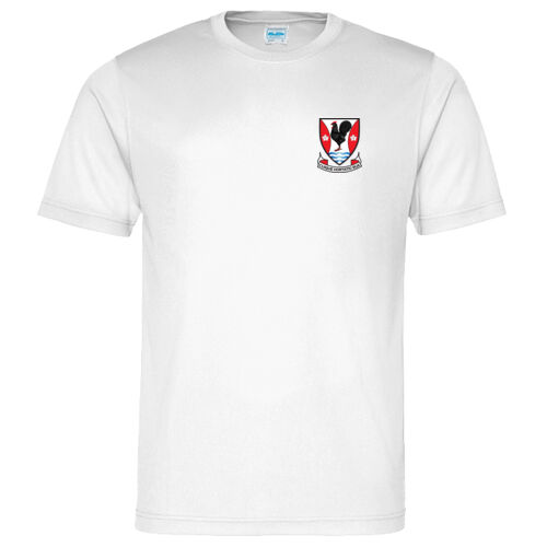 Caldervale Gym T-Shirt - Erskine House S1-3 Thumbnail