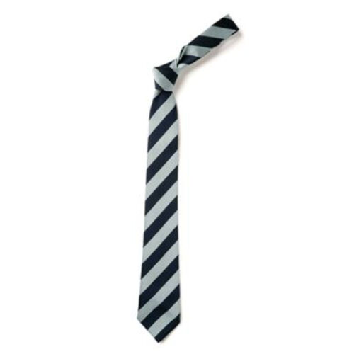 St Marys Caldercruix Primary Tie (Full Length Wide Stipe 42") Thumbnail